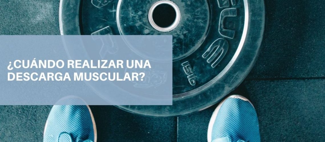 WhatsApp Image 2023-04-02 at 18.37.10